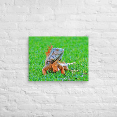 Canvas egona 0001 18″×24″