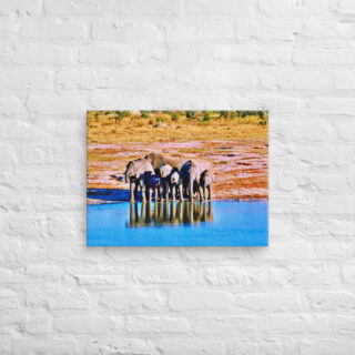 canvas-in-18x24-front-68ed989a80a9a.jpg Canvas elephant 0001 18″×24″