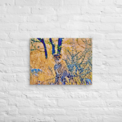 canvas-in-18x24-front-68ed99cea1fae.jpg Canvas cheetah 0004 18″×24″