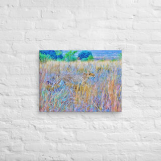 canvas-in-18x24-front-68ed9ca845f4e.jpg Canvas cheetah 0001 18″×24″