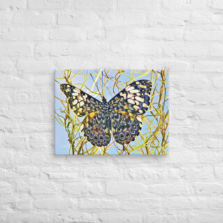 canvas-in-18x24-front-68eda086218c4.jpg Canvas butterfly 0007 18″×24″