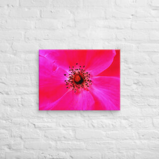 canvas-in-18x24-front-68edbe7c89148.jpg Canvas abstract flora 0010 18″×24″