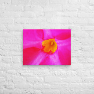 canvas-in-18x24-front-68edc030b5d56.jpg Canvas abstract flora 0008 18″×24″