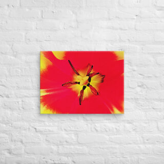 canvas-in-18x24-front-68edc133dc77f.jpg Canvas abstract flora 0007 18″×24″