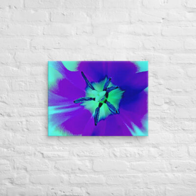 canvas-in-18x24-front-68edc4e131741.jpg Canvas abstract flora 0004 18″×24″