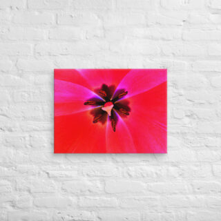 canvas-in-18x24-front-68edc5b589455.jpg Canvas abstract flora 0003 18″×24″