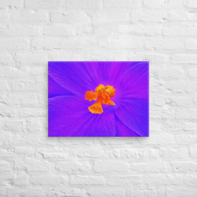 canvas-in-18x24-front-68edc6764ff40.jpg Canvas abstract flora 0002 18″×24″