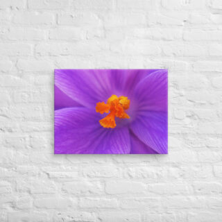 canvas-in-18x24-front-68edc72f0b433.jpg Canvas abstract flora 0001 18″×24″