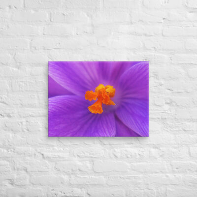 canvas-in-18x24-front-68edc72f0b433.jpg Canvas abstract flora 0001 18″×24″
