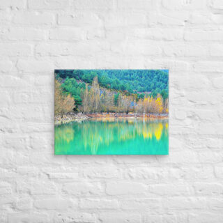 canvas-in-18x24-front-68ef0d4635e2e.jpg Canvas spain foliage 0001 18″×24″