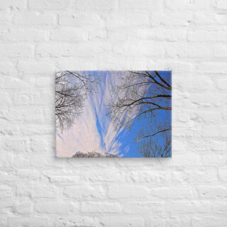 canvas-in-18x24-front-68ef0f0d85b26.jpg Canvas Us Washington Dc Foliage 0003 24″×36″