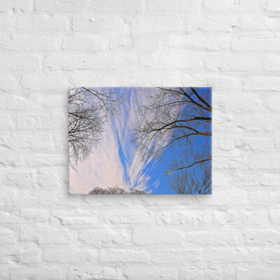 canvas-in-18x24-front-68ef0f0d85b26.jpg Canvas Us Washington Dc Foliage 0003 24″×36″