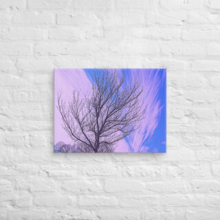 canvas-in-18x24-front-68ef1061cd9b1.jpg Canvas Us Washington Dc Foliage 0002 18″×24″