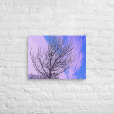 canvas-in-18x24-front-68ef1061cd9b1.jpg Canvas Us Washington Dc Foliage 0002 18″×24″