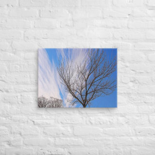 canvas-in-18x24-front-68ef11dd1e136.jpg Canvas Us Washington Dc Foliage 0001 18″×24″