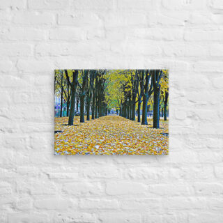 canvas-in-18x24-front-68f000dc153c5.jpg Canvas French Paris Foliage 006 18″×24″