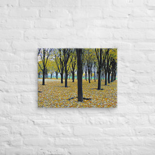 canvas-in-18x24-front-68f003b47f33b.jpg Canvas French Paris Foliage 005 18″×24″
