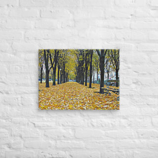 canvas-in-18x24-front-68f005be8b845.jpg Canvas French Paris Foliage 004 18″×24″