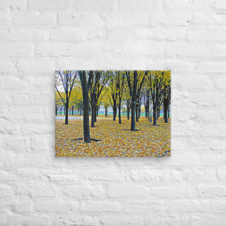canvas-in-18x24-front-68f0097d73404.jpg Canvas French Paris Foliage 003 18″×24″
