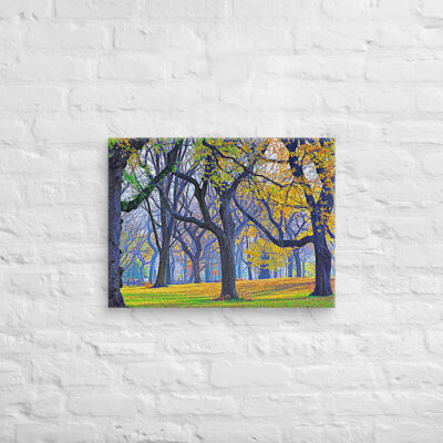 Canvas us New York City Central Park 0009 18″×24″