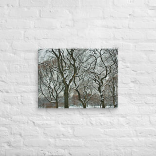 canvas-in-18x24-front-68f1153867f2d.jpg Canvas us New York City Central Park 0004 18″×24″