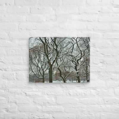 canvas-in-18x24-front-68f1153867f2d.jpg Canvas us New York City Central Park 0004 18″×24″