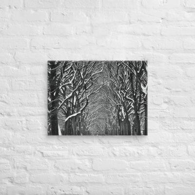 canvas-in-18x24-front-68f117145bbe5.jpg Canvas us New York City Central Park 0002 18″×24″