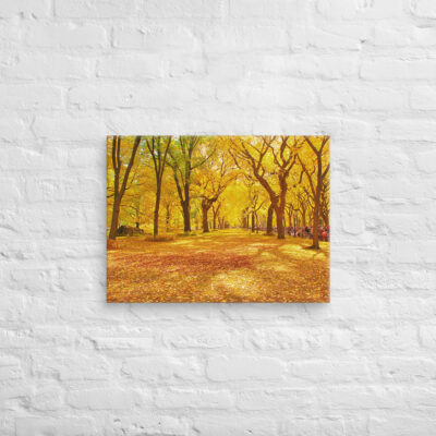 canvas-in-18x24-front-68f119015f139.jpg Canvas us New York City Central Park 0001 18″×24″