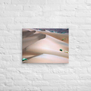canvas-in-18x24-front-68f1b25a4ca31.jpg Canvas Namibia Sossusvlei 0007 18″×24″