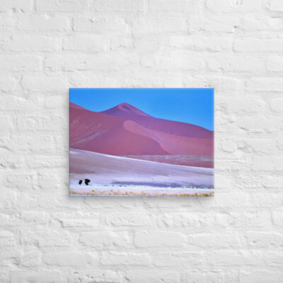 canvas-in-18x24-front-68f1b63978244.jpg Canvas Namibia Sossusvlei 0004 18″×24″