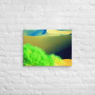 canvas-in-18x24-front-68f2607671667.jpg Canvas Namibia Sossusvlei 0003 18″×24″