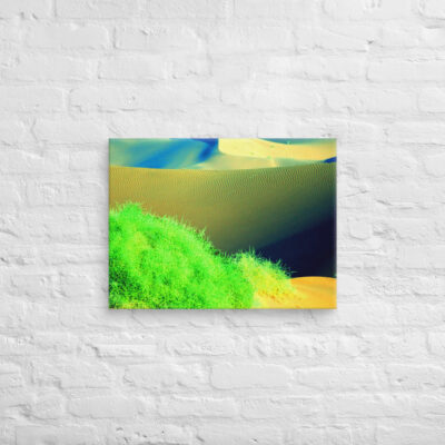 canvas-in-18x24-front-68f2607671667.jpg Canvas Namibia Sossusvlei 0003 18″×24″