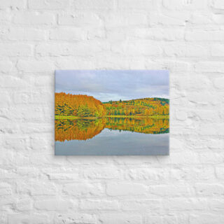 canvas-in-18x24-front-68f3f92793bdb.jpg Canvas France Provence Foliage 0016 18″×24″