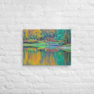 canvas-in-18x24-front-68f4508d77606.jpg Canvas France Provence Foliage 0015 18″×24″