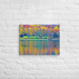 canvas-in-18x24-front-68f4515d36f5a.jpg Canvas France Provence Foliage 0014 18″×24″