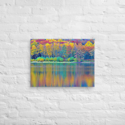 canvas-in-18x24-front-68f4515d36f5a.jpg Canvas France Provence Foliage 0014 18″×24″
