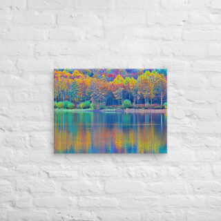 canvas-in-18x24-front-68f4525db90a7.jpg Canvas France Provence Foliage 0013 18″×24″