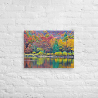 canvas-in-18x24-front-68f45327a57e6.jpg Canvas France Provence Foliage 0012 18″×24″