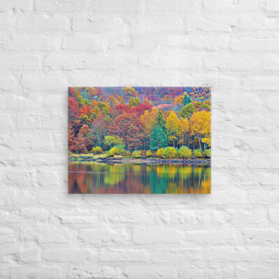 canvas-in-18x24-front-68f45327a57e6.jpg Canvas France Provence Foliage 0012 18″×24″