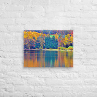 canvas-in-18x24-front-68f459d7b8396.jpg Canvas France Provence Foliage 0005 18″×24″
