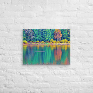 canvas-in-18x24-front-68f45a8f286a1.jpg Canvas France Provence Foliage 0004 18″×24″