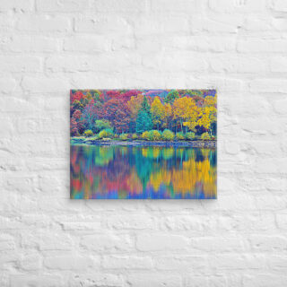 canvas-in-18x24-front-68f45b3a010da.jpg Canvas France Provence Foliage 0003 18″×24″