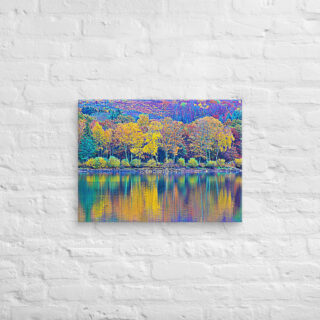canvas-in-18x24-front-68f45c1bb0f0e.jpg Canvas France Provence Foliage 0002 18″×24″