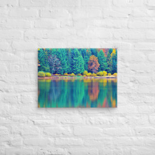 canvas-in-18x24-front-68f45ce7287b4.jpg Canvas France Provence Foliage 0001 18″×24″