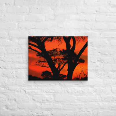 canvas-in-18x24-front-68f50dc90bb8a.jpg Canvas Afrika Sunset 0002 18″×24″