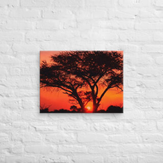 canvas-in-18x24-front-68f5105b4bdc1.jpg Canvas Afrika Sunset 0001 18″×24″
