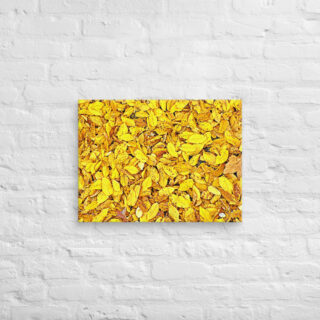 canvas-in-18x24-front-68f5232bc42bc.jpg Canvas us Foliage 0001 18″×24″