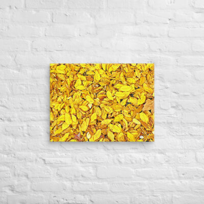 canvas-in-18x24-front-68f5232bc42bc.jpg Canvas us Foliage 0001 18″×24″