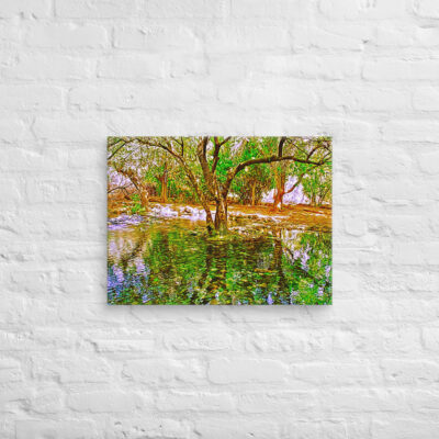 Canvas israel dan river 0002 18″×24″