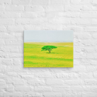 Canvas israel negev 0002 18″×24″